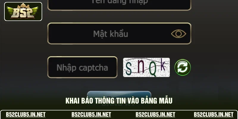 Khai báo thông tin vào bảng mẫu