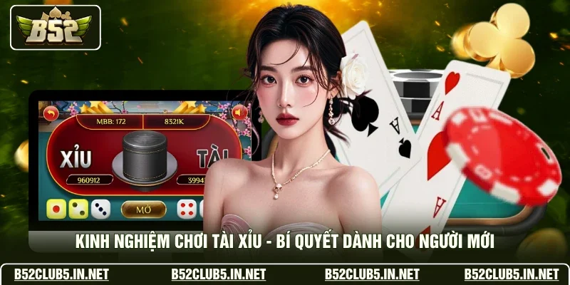 Kinh Nghiệm Chơi Tài Xỉu - Bí Quyết Dành Cho Người Mới
