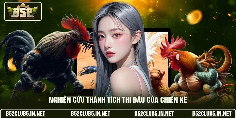 Nghiên cứu thành tích thi đấu của chiến kê